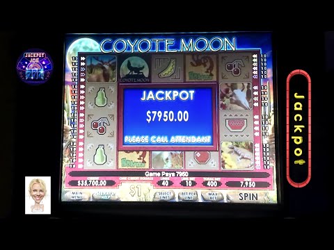 The Secret Behind the Huge Coyote Moon Slots Jackpot!