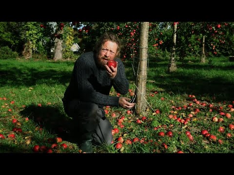 Keeving: In depth cider making guide - Part 1