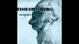 Assemblage 23 - Afterglow (The Rain Within Remix)