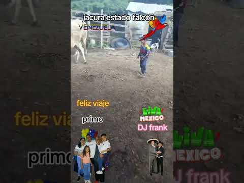 pero hombre amigo Antonio Aguilar jacura estado falcón