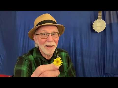 Priscilla Pig Loves Flowers