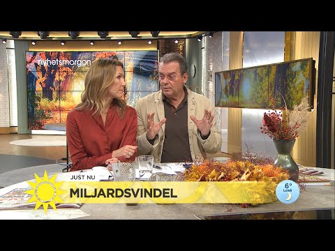 Steffo om miljardsvindel: "Gangstermetoder i kritstrecksrandigt" - Nyhetsmorgon (TV4)