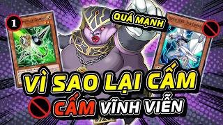 VÌ SAO NHỮNG LÁ BÀI NÀY LẠI BỊ CẤM | Yu-Gi-Oh! Việt Nam