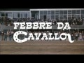 FEBBRE DA CAVALLO 1976 SIGLA FINALE