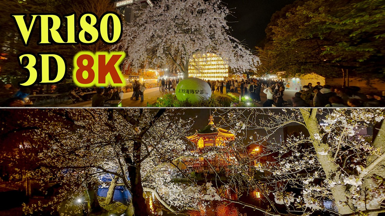 [ 8K 3D VR180 ] 多くの花見客で賑わう上野公園の夜桜 2026