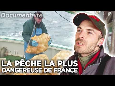 Fishing under high tension in the Bay of Saint-Brieuc: 45 minutes - Full documentary