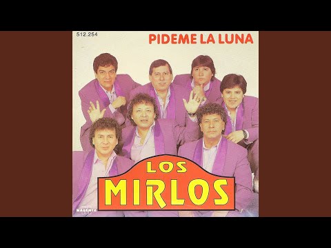 La danza de los mirlos