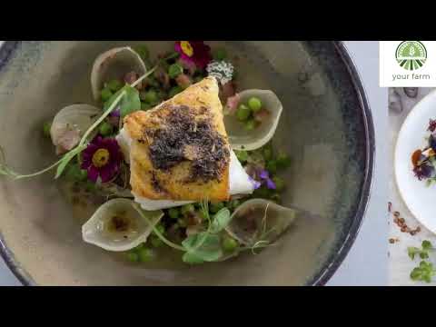 Amazing Antarctic Toothfish Fishing - Chilean Sea Bass Catch By Modern Vessel - Toothfish Processing