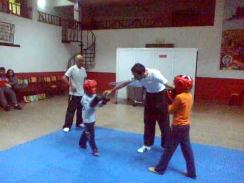 treino de mma p.n