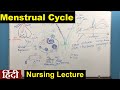 Menstrual Cycle in Hindi | Reproductive Cycle | Nursing Lecture