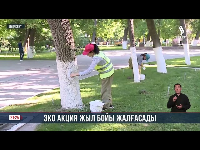 Экологиялық акция жыл бойы жалғасады