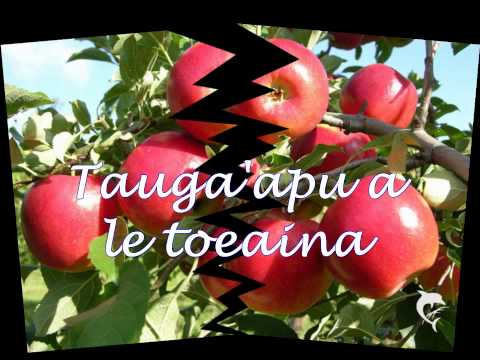 Tauga'apu a le toeaina
