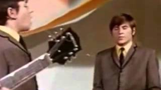 Animals Please Don't let me be Misunderstood