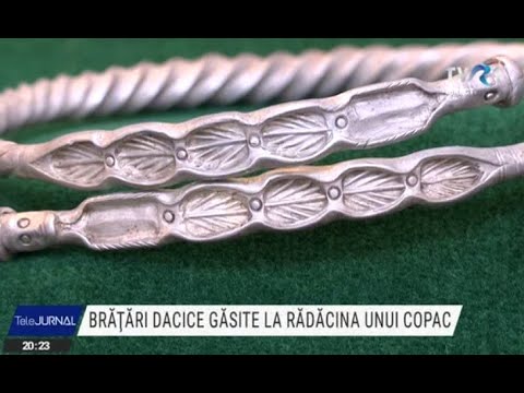 Un tânăr a descoperit trei brățări dacice la rădăcina unui copac