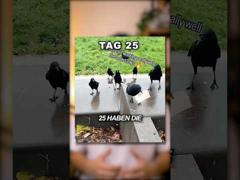 Er hat eine KRÄHEN ARMEE! 😱