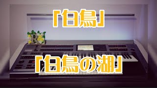 Download lagu 弾いてみました♪ どちらの「白鳥」がお好みですか? #エレクトーン #白鳥 #白鳥の湖 mp3 Download lagu 弾いてみました♪ どちらの「白鳥」がお好みですか? #エレクトーン #白鳥 #白鳥の湖 mp3
