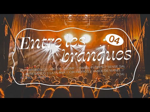 ENTRE LES BRANQUES - SEIKOS (Videoclip oficial)