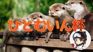 【ひとむいん杯】もぶ視点. USE CODE『kona_fn』【Switchフォートナイト】