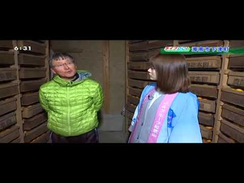 20180213JAながみね蔵出しみかん