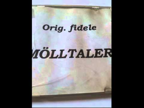 Die fidelen Mölltaler   Das i a Wildschütz bin