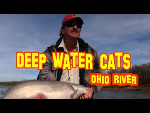 Deep water catfish:Trophy Catfish Care