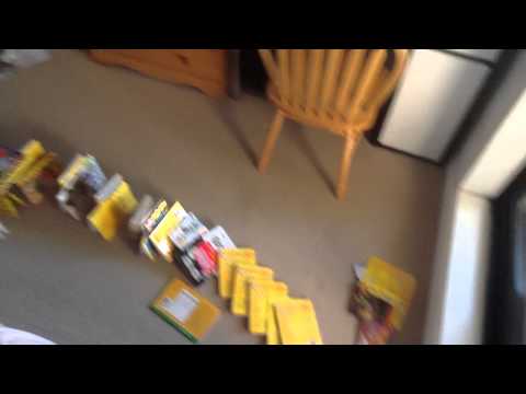 Book Dominoes