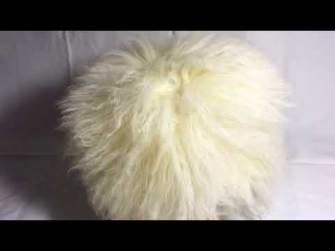 KHABIB NURMAGOMEDOV PAPKHA