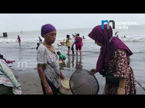 SENSASI UNIK BERBURU KERANG "HAREMIS" DI PANTAI KAROENG, PANDEGLANG