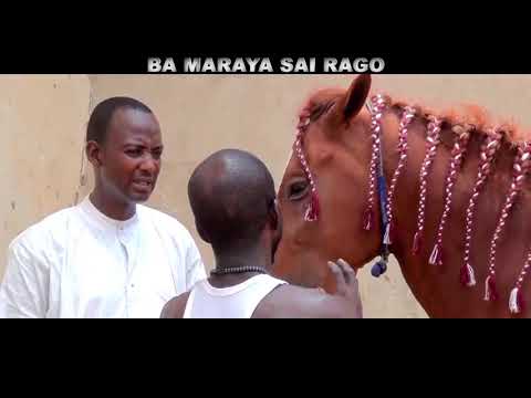 , title : 'KIWAN DOKI A KASAR HAUSA / BA MARAYA SAI RAGO'