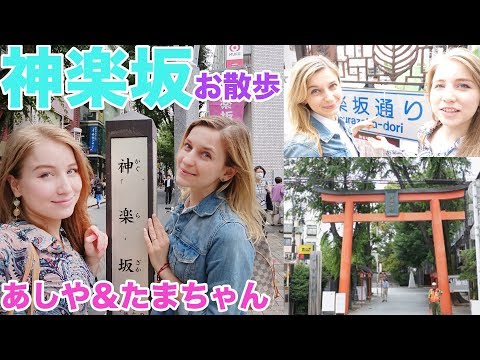 あしや＆たまちゃん：神楽坂のお散歩！神社にカフェ？！おっぱいちゃん餅？！