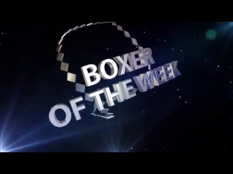 WSB Season VI Week 5 Boxer of the week