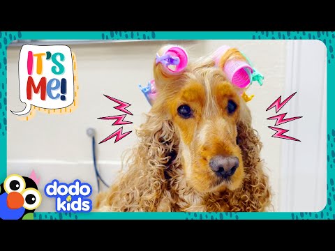 Let's Give This Pup's Hair A Makeover! | Dodo Kids | It's Me!