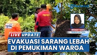 Damkar Kurang Anggaran & Alat, Namun Tetap Evakuasi Sarang Lebah di Pemukiman Warga Tana Tidung