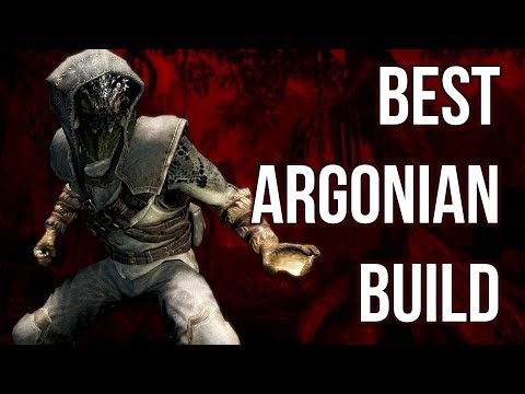 The Wanderer - Best Argonian Build - Skyrim Builds