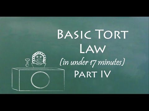 Understand Tort Law in 17 Minutes (Part IV)