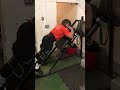 Reverse hack squats