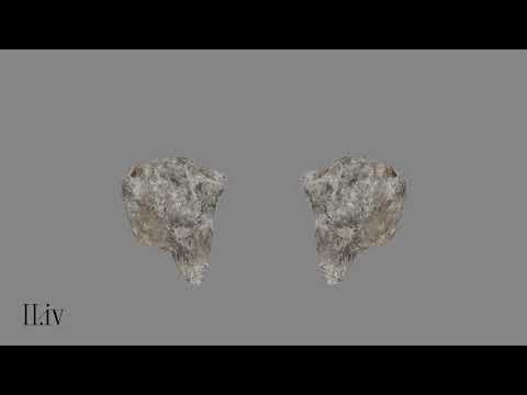 Video thumbnail for Leaves