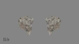 Son Lux — "Leaves" (Official Audio)