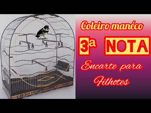 Encarte canto clássico com 3ª Nota coleiro “Manéco"