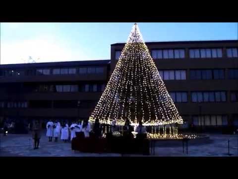 【同志社女子大学】2014ツリー点灯式（京田辺キャンパス）