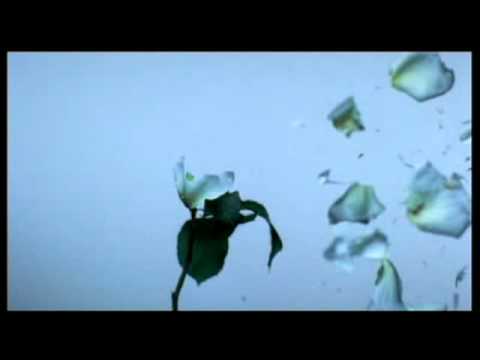 Amon Tobin - At the end of the day