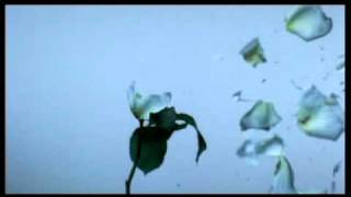 Amon Tobin - At the end of the day