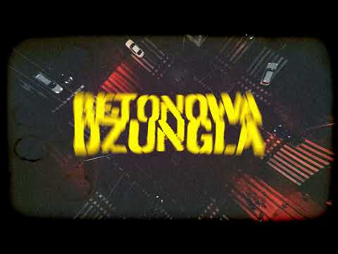Puchu - BETONOWA DŻUNGLA (VISUALIZER)