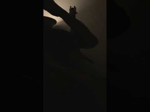 PRACTICING SOFTLY IN DIM LIGHT~MISTAKES & ALL! w/REGINALD VEAL