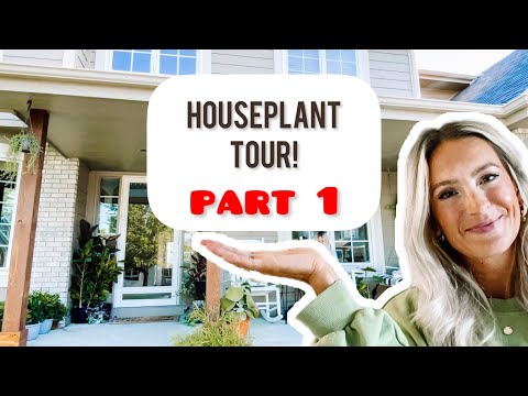 HOUSEPLANT TOUR 200+ PLANTS - Part 1 - ✨PORCH✨ Houseplants Moved OUTSIDE for Summer ☀️🪴
