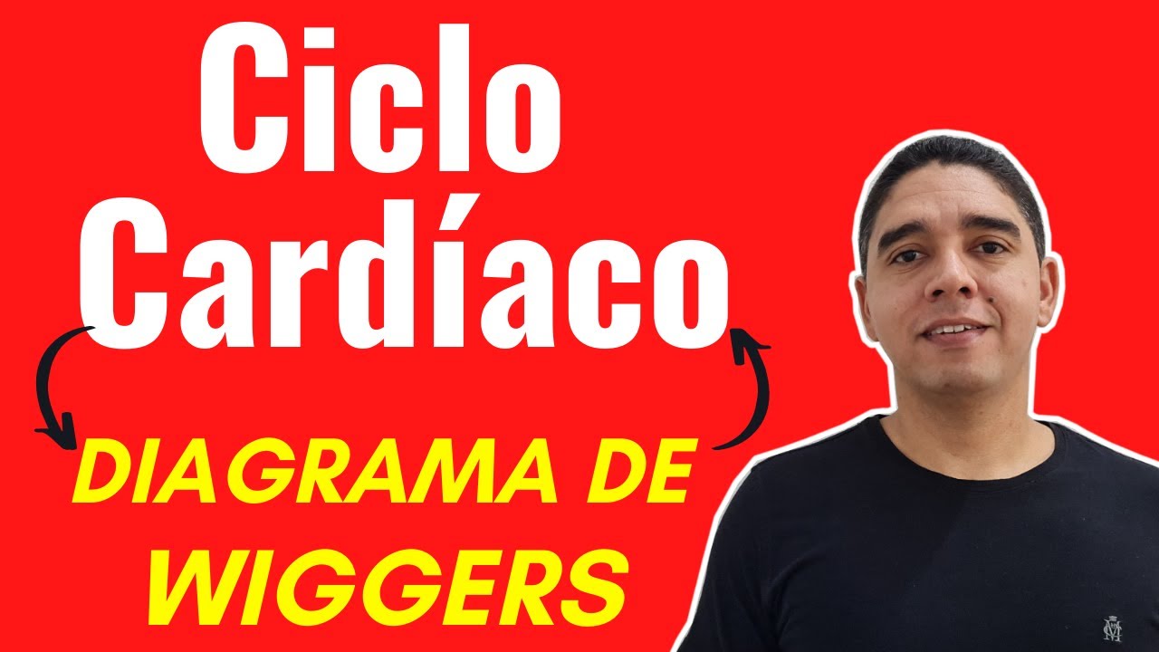 Ciclo Cardíaco e Diagrama de Wiggers [Sistema Cardíaco 2/3]