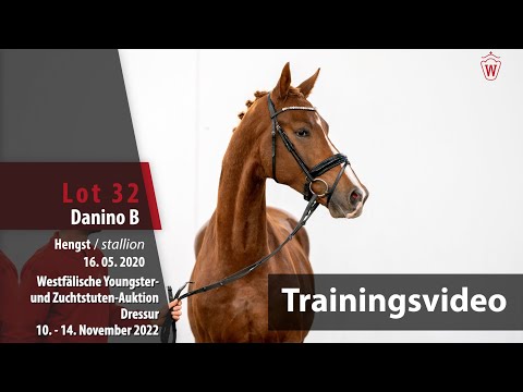 Online-Auktion Trainingsvideo Lot 32 Danino B Hengst v. Danone I - Vivaldi