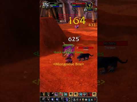 WoW Classic PvP Duel: Hunter vs Hunter - Who's the True Marksman?