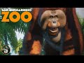 Building A Primate Paradise In Franchise Mode San Bernardino Zoo Planet Zoo
