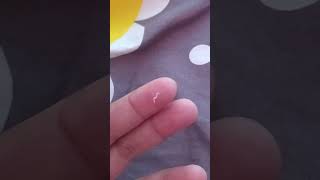 Download lagu Cacing kremi mp3